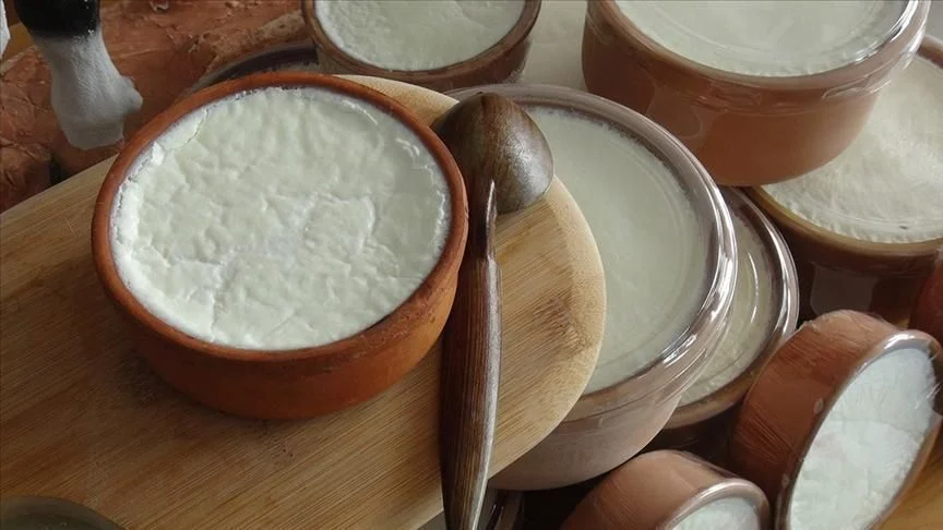 galeri_20260214_180015_920de2bb27967c3636f7